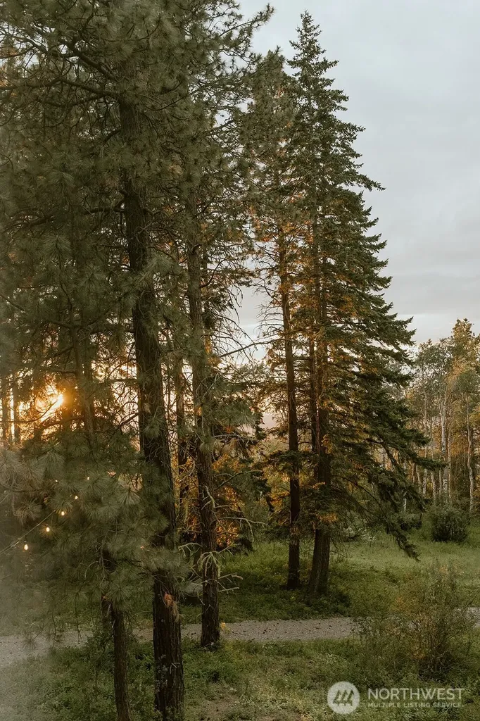 41 Bull Elk Road Cle Elum WA 98922