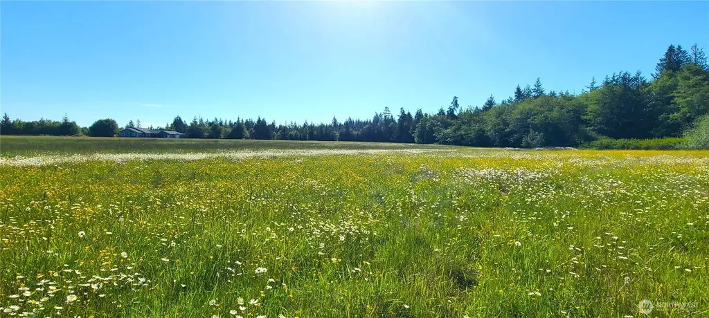 9999 Speedway Drive Port Angeles WA 98362