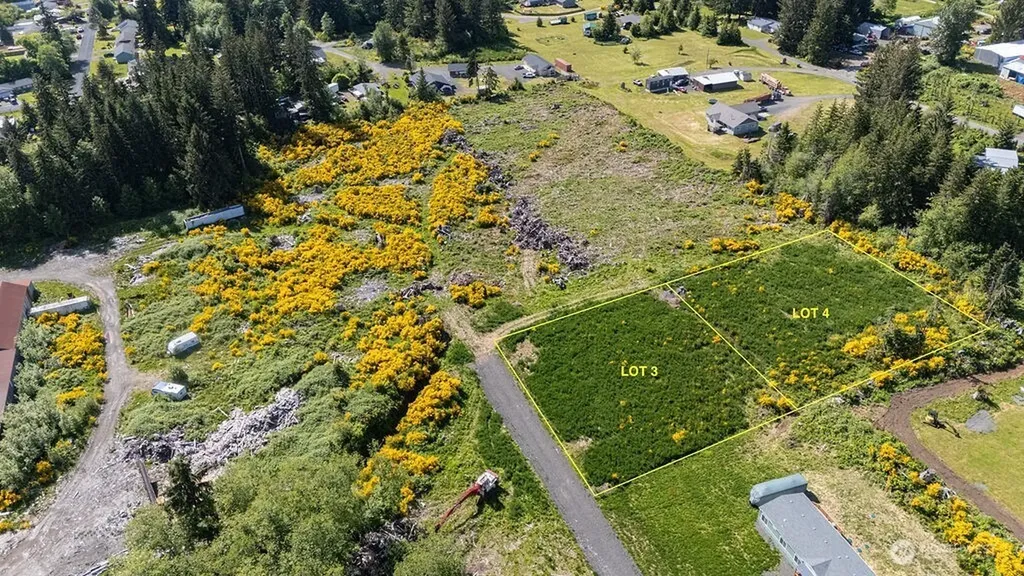 99 Newton Lot 4 Road Forks WA 98331