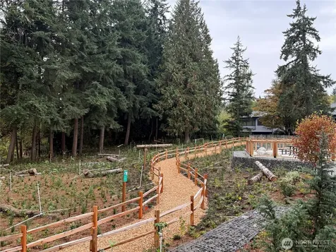 1145 129th Court NE Bellevue WA 98005