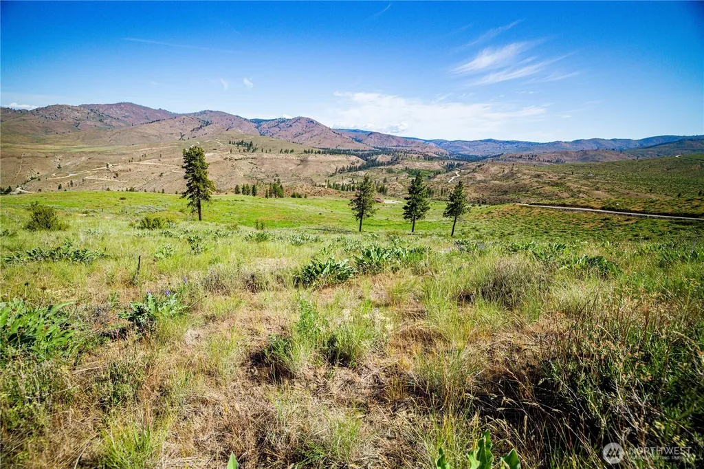 0 Sawtooth View Road Methow WA 98834