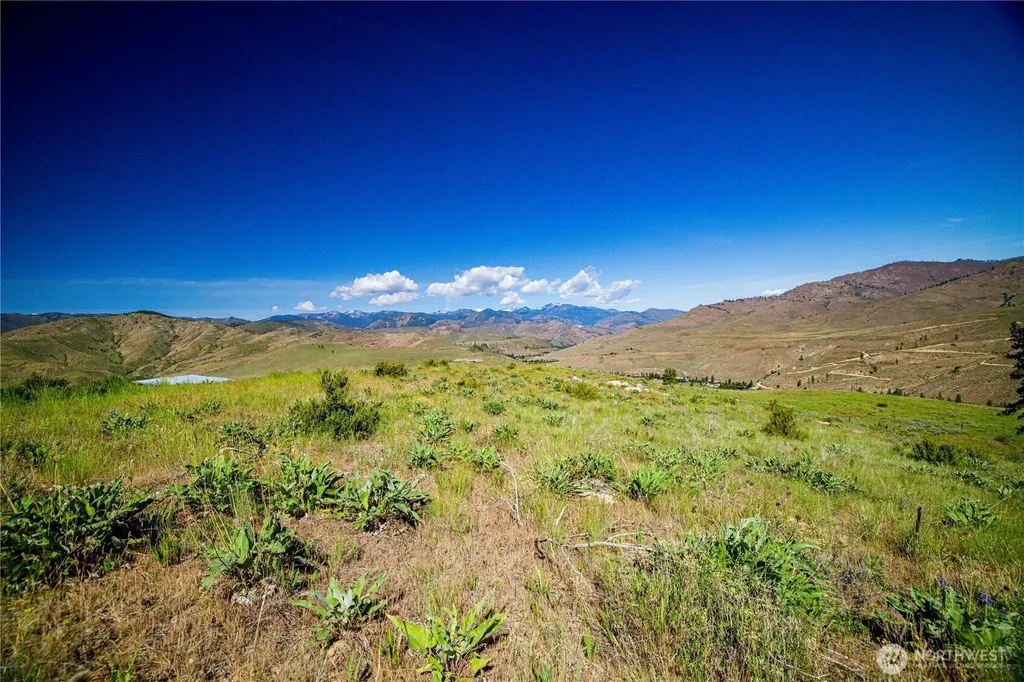 0 Sawtooth View Road Methow WA 98834