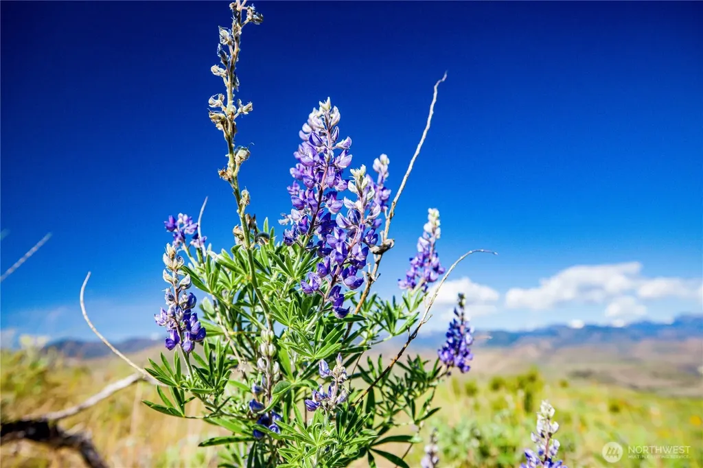 0 Sawtooth View Road Methow WA 98834