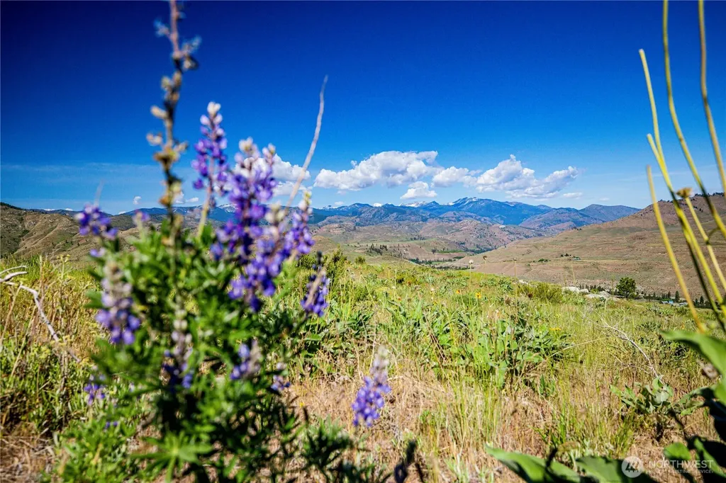 0 Sawtooth View Road Methow WA 98834