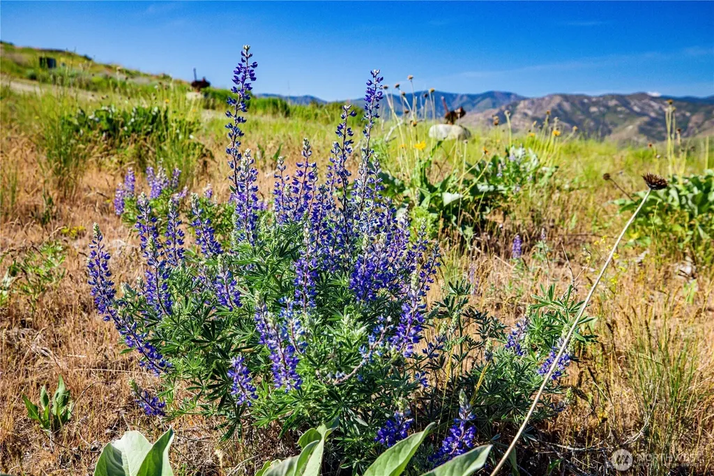 0 Sawtooth View Road Methow WA 98834