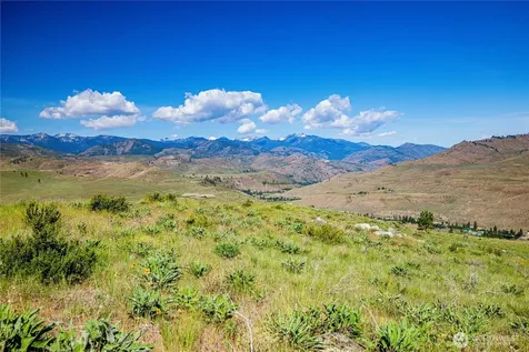 0 Sawtooth View Road Methow WA 98834