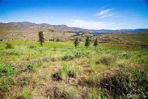 0 Sawtooth View Road Methow WA 98834