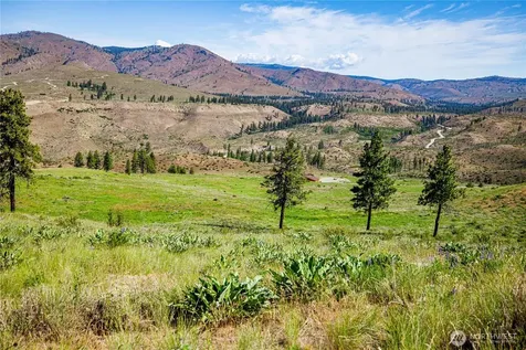 0 Sawtooth View Road Methow WA 98834