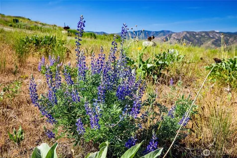 0 Sawtooth View Road Methow WA 98834
