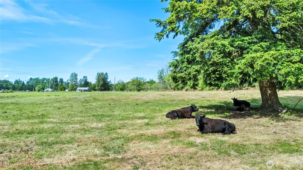 3471 Birch Bay Lynden Road Custer WA 98240