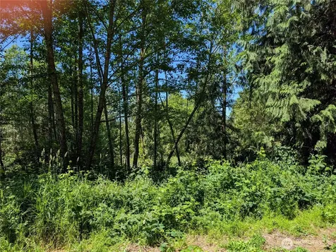 21660 Snowden Drive Mount Vernon WA 98274