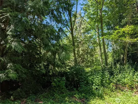 21660 Snowden Drive Mount Vernon WA 98274