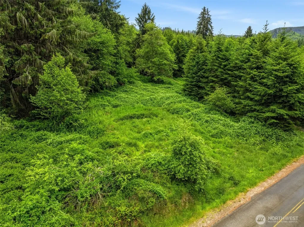 0 E Valley Road Skamokawa WA 98647