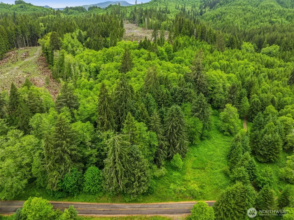 0 E Valley Road Skamokawa WA 98647