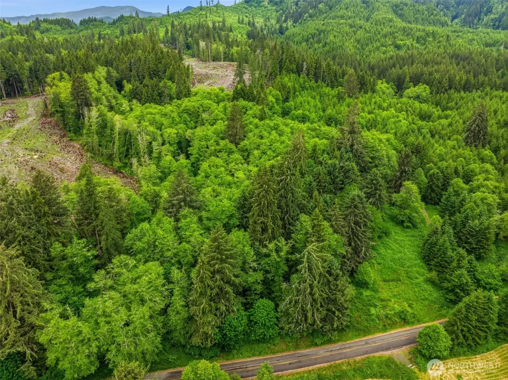 0 E Valley Road Skamokawa WA 98647