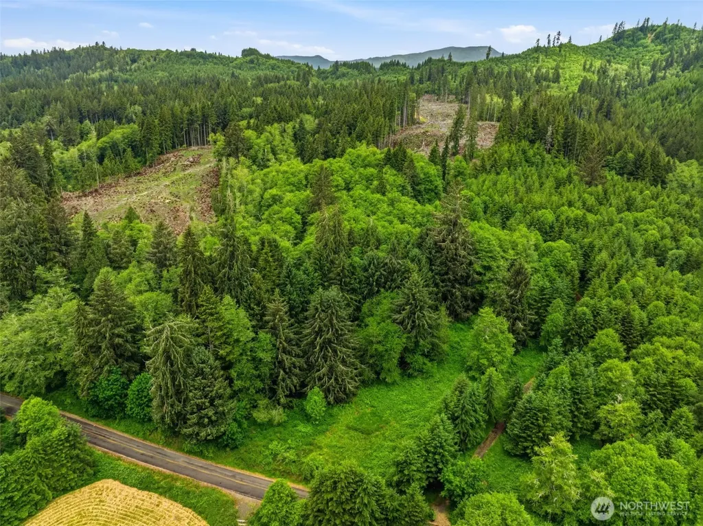 0 E Valley Road Skamokawa WA 98647