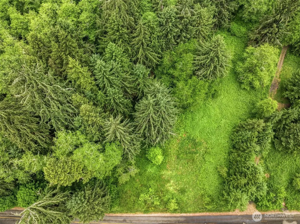 0 E Valley Road Skamokawa WA 98647