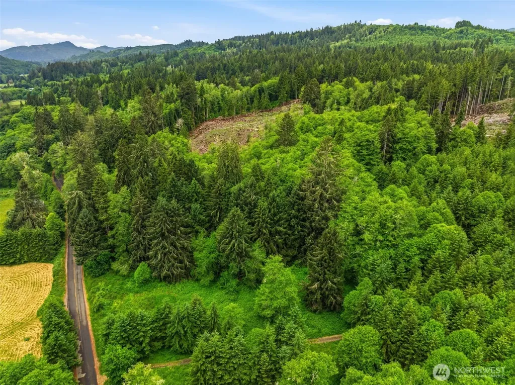 0 E Valley Road Skamokawa WA 98647