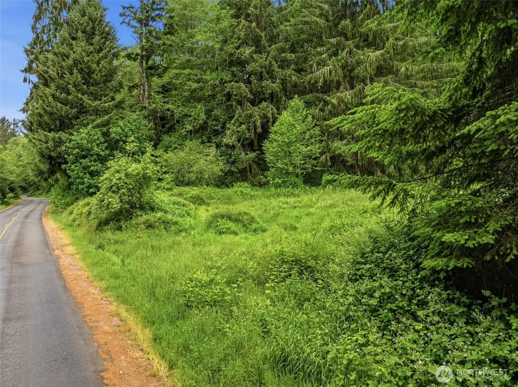 0 E Valley Road Skamokawa WA 98647