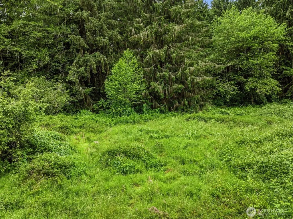 0 E Valley Road Skamokawa WA 98647