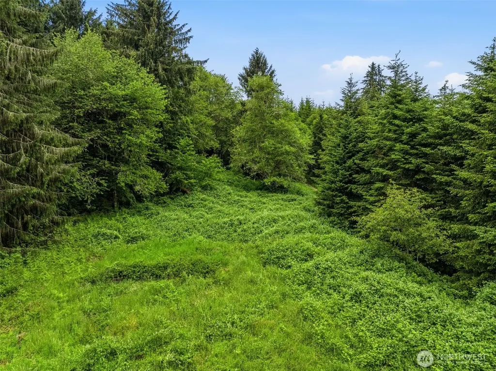 0 E Valley Road Skamokawa WA 98647