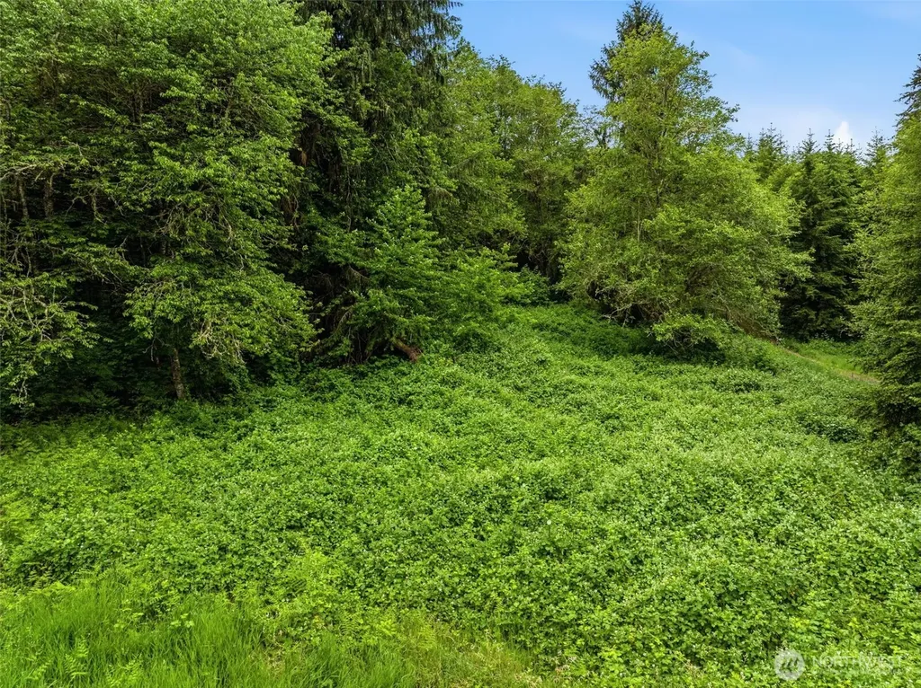0 E Valley Road Skamokawa WA 98647
