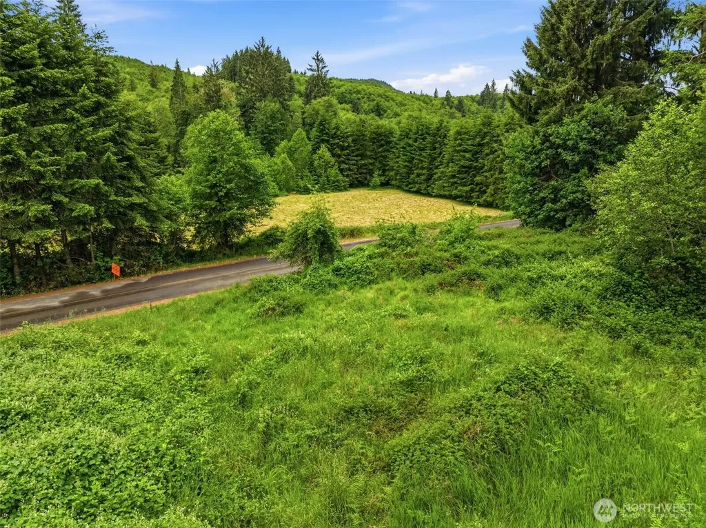 0 E Valley Road Skamokawa WA 98647