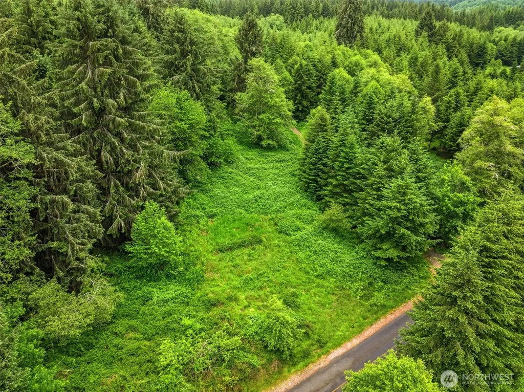 0 E Valley Road Skamokawa WA 98647
