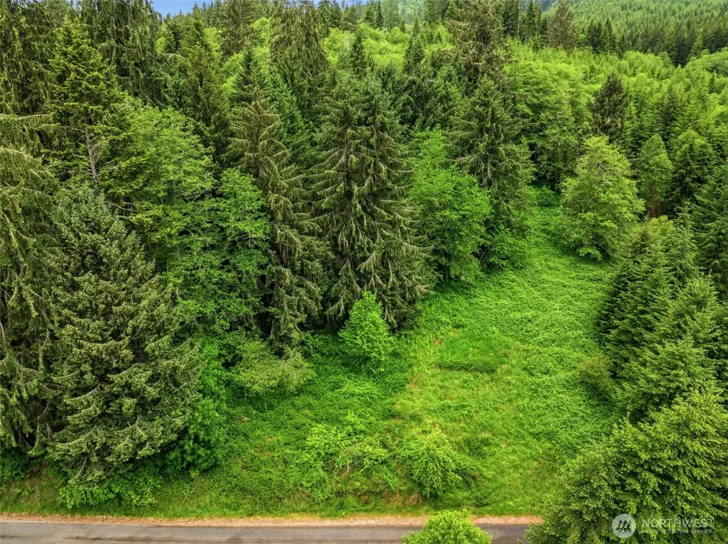 0 E Valley Road Skamokawa WA 98647