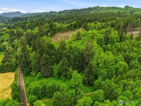 0 E Valley Road Skamokawa WA 98647