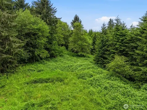 0 E Valley Road Skamokawa WA 98647