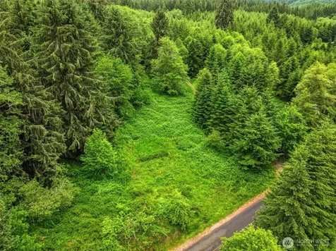 0 E Valley Road Skamokawa WA 98647