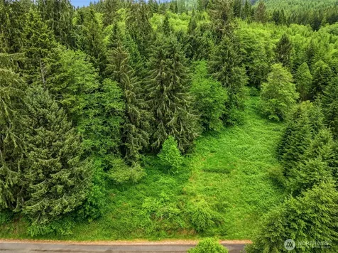 0 E Valley Road Skamokawa WA 98647