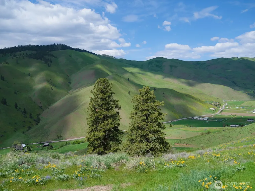 6993 Nahahum Canyon Road Cashmere WA 98815