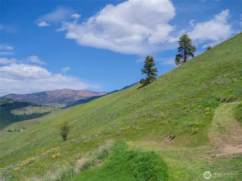 6993 Nahahum Canyon Road Cashmere WA 98815