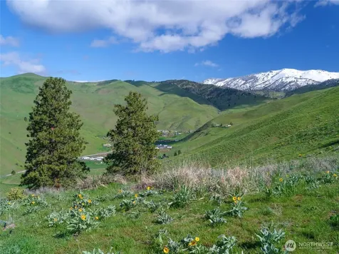 6993 Nahahum Canyon Road Cashmere WA 98815