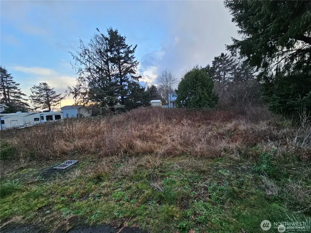 17 N 3rd Street Pacific Beach WA 98571