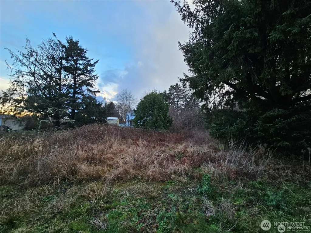 17 N 3rd Street Pacific Beach WA 98571