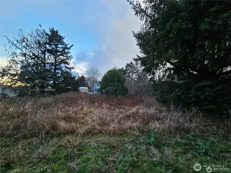 17 N 3rd Street Pacific Beach WA 98571