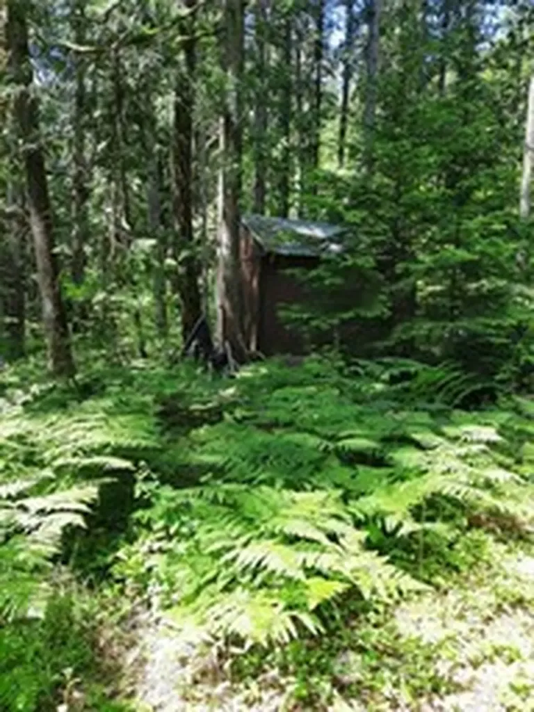 197 Cascade River Road Marblemount WA 98267