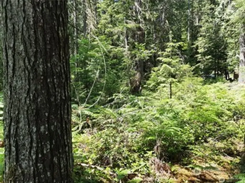 197 Cascade River Road Marblemount WA 98267