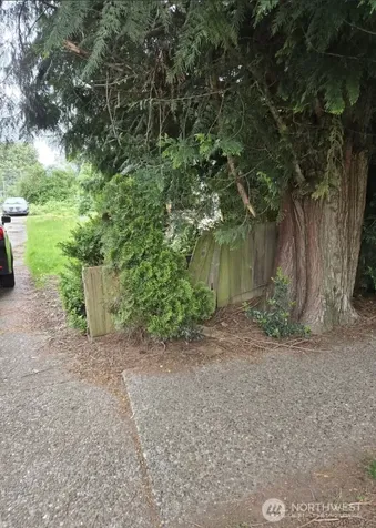 8452 12th Avenue SW Seattle WA 98106