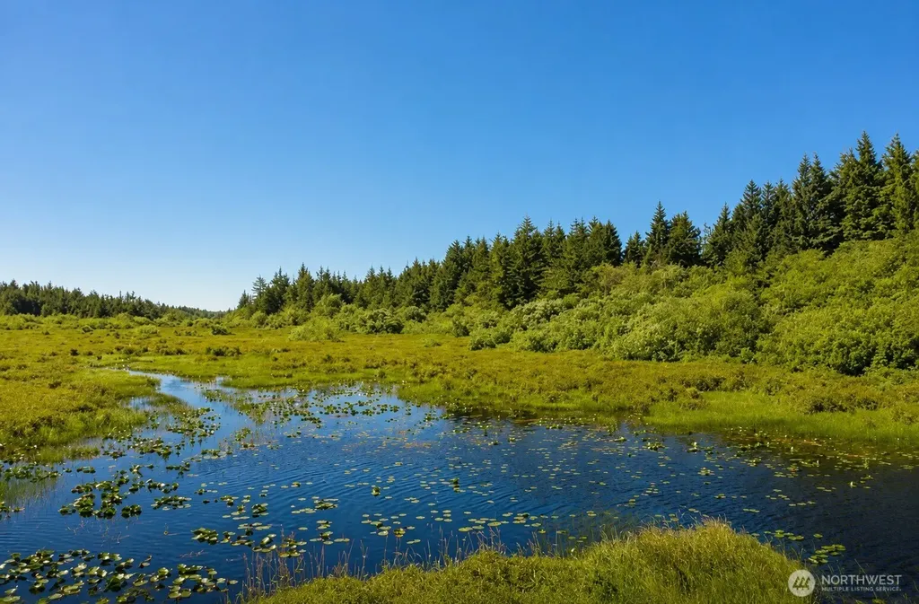 23906 Birch Lane Ocean Park WA 98640