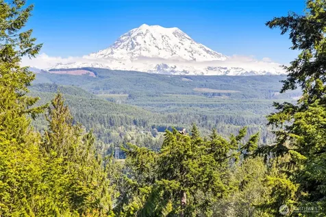22715 Country Drive E Graham WA 98338