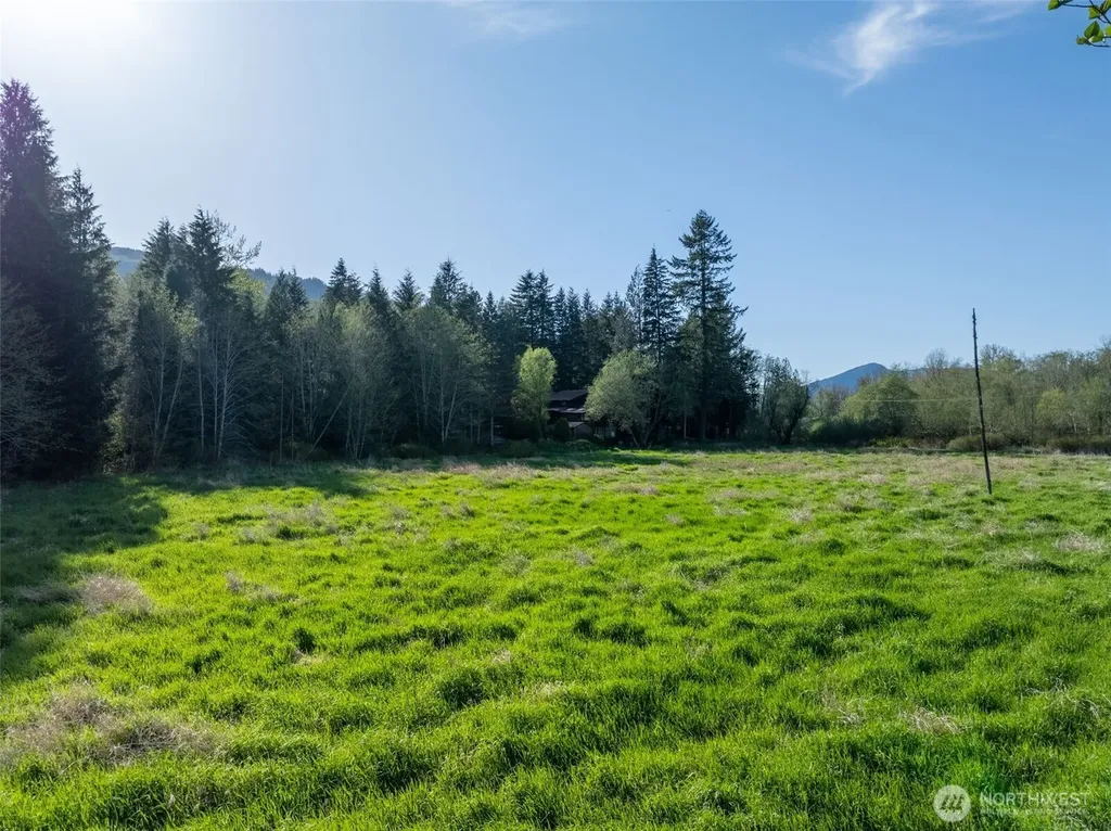 0 Davis Lake Road Morton WA 98356
