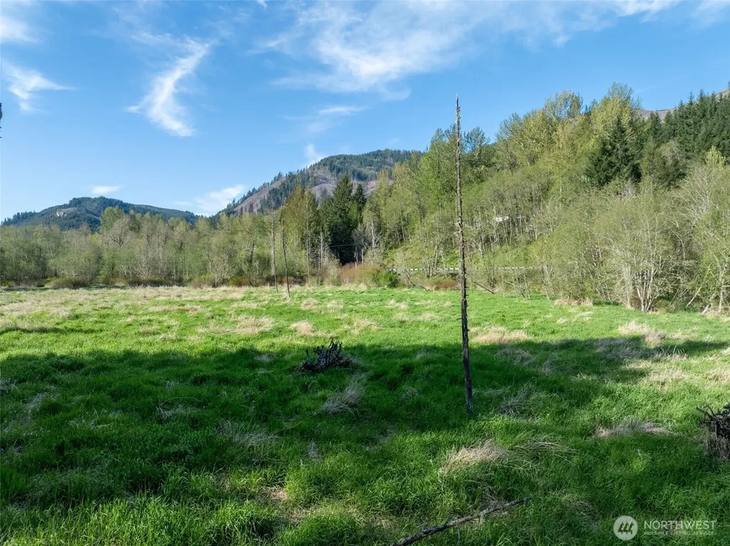 0 Davis Lake Road Morton WA 98356