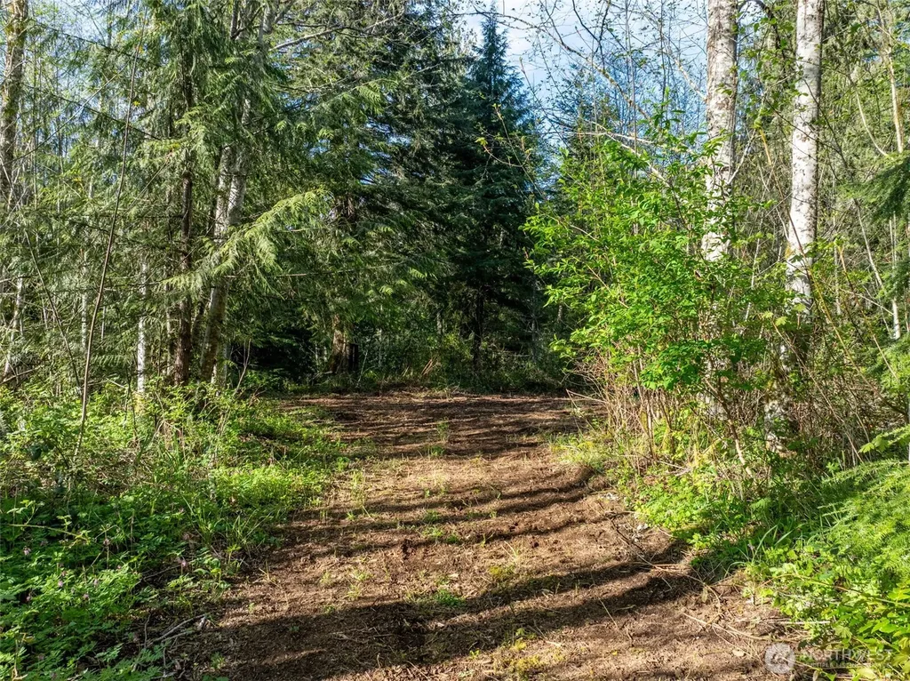 0 Davis Lake Road Morton WA 98356