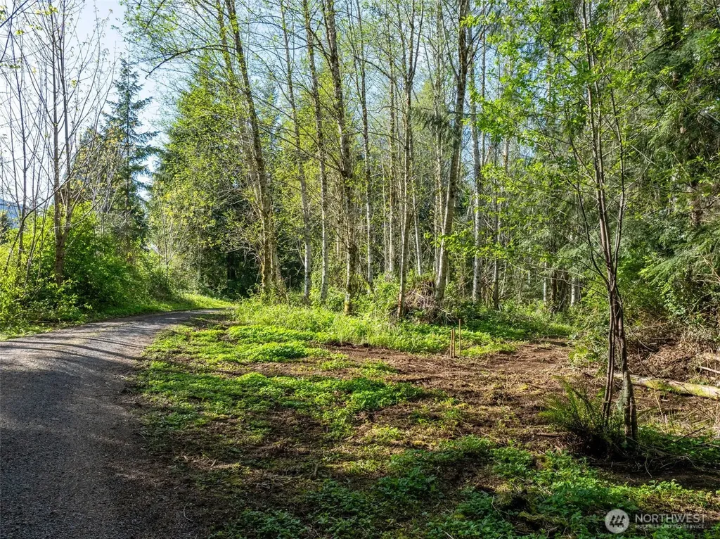 0 Davis Lake Road Morton WA 98356