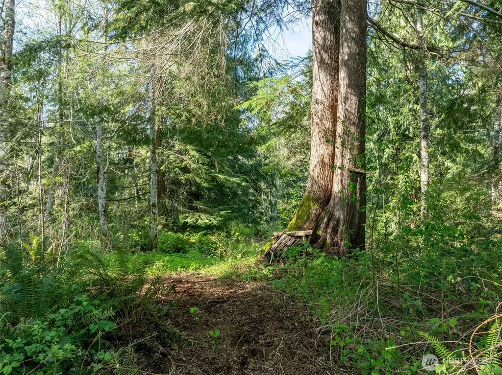 0 Davis Lake Road Morton WA 98356