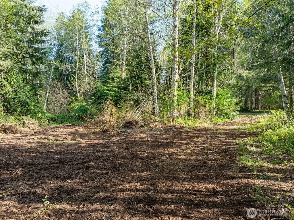 0 Davis Lake Road Morton WA 98356